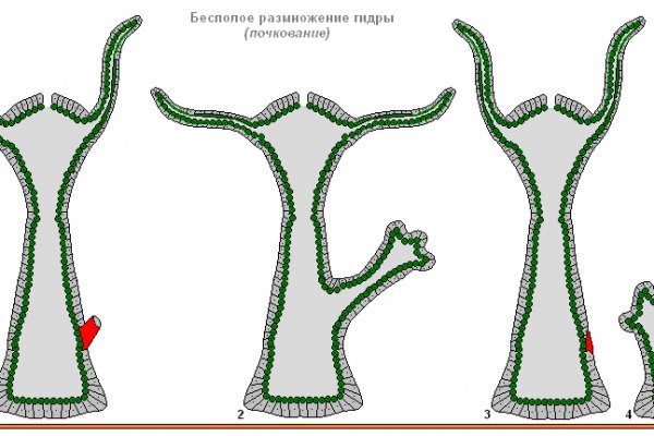 Кракен купить мефедрон