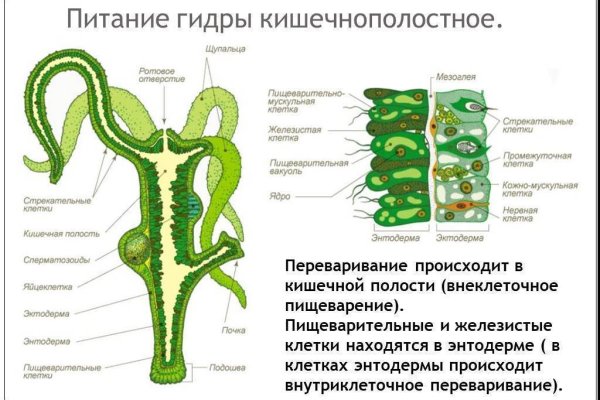 Kraken ссылка