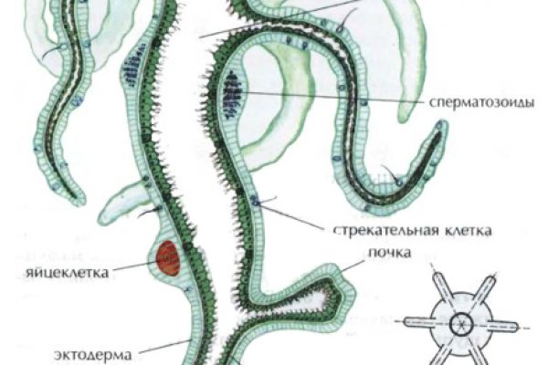 Как заказать на кракене